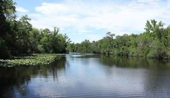 Middleburg, FL Moving Company